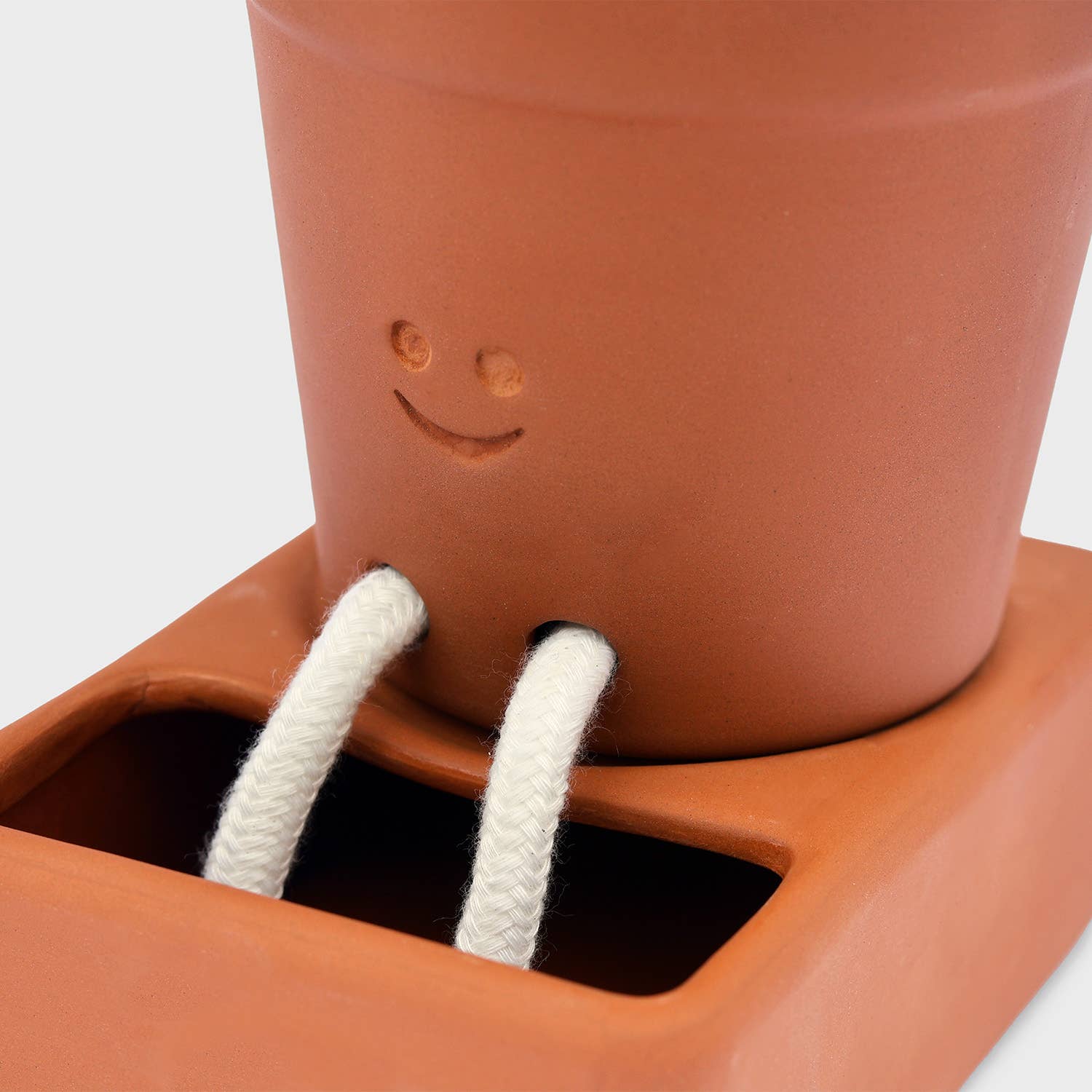 Pikkii Self Care Planter - Image 8